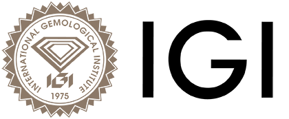 IGI logo